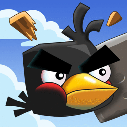 crazy bird
